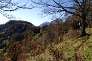Dalla Culmine di S. Pietro allo Zuc di Maesimo sul sentiero alto estivo 21 DOL il 19 ottobre 2015   - FOTOGALLERY